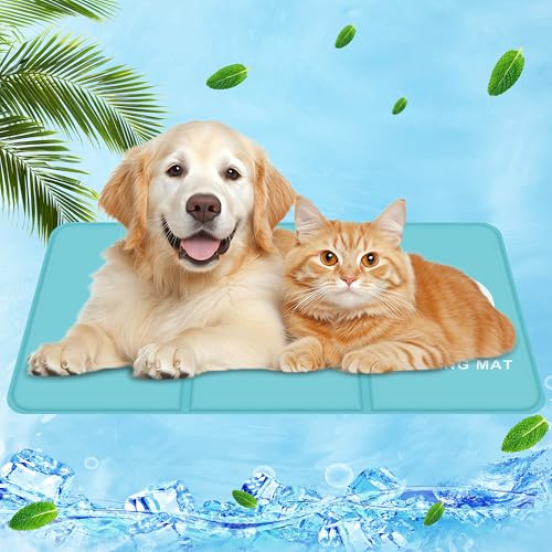 IEEILULU Kühlmatte für Hunde, Kühldecke Hund, Kühlende Hundematte mit Ungiftiges Gel, Kühlmatten Haustiere, Kühlpads Gel, Kühldecke Sommer für Zuhause, Weggehen oder im Auto (M, 50 x 90cm)