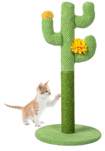 Arbre À Chat pour Chat, Griffoir Cactus Arbre À Chat Poteau Arbre Chat Tour Griffoir pour Petit Chats en Sisal