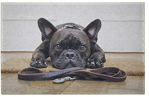 Mars & More - Fußmatte, Türmatte, Schuhabtreter - Französische Bulldogge - 75 x 50 cm