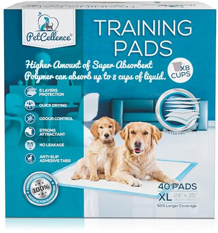 PetCellence Trainingspads für Hunde 60x90 cm - 40 Stück Premium Ultra Saugfähige Welpen Unterlagen mit Anti-Rutsch-Klebeband, Trainingsunterlagen für Hunde mit 6-Lagiger Schutz für das PIPI Training | Sehr saugfähige Hundeunterlagen, trocken mit Anti-Rutsch-Laschen, auslaufsichere Uriniermatten