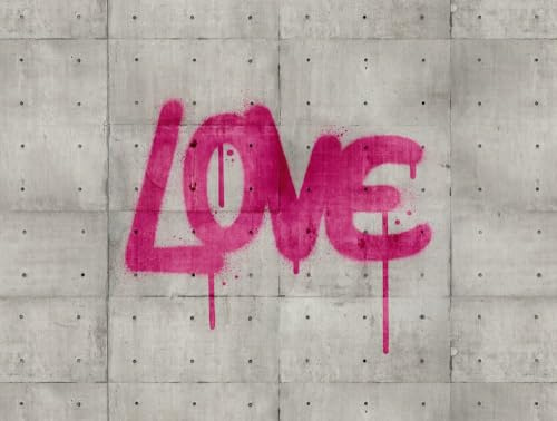 A.S. Création Livingwalls Fototapete Graffiti Betonwand Loftoptik Grau Pink 382651 The Wall 3,71 m x 2,80 m Jugendzimmer Jungen Mädchen
