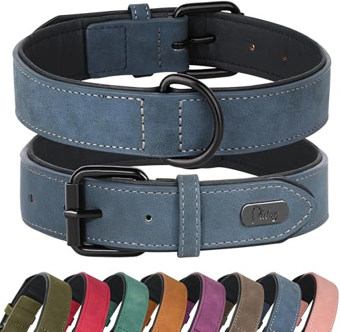 Didog Hundehalsband aus weichem, gepolstertem Leder, atmungsaktives, strapazierfähiges Hundehalsband aus Leder mit Verstellbarer, rostfreier Metallschnalle für mittelgroße und große Hunde, Blau, XL