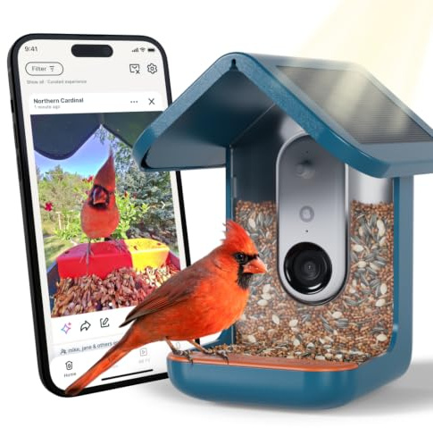 Birdbuddy PRO Solar Smart Bird Feeder mit Kamera – KI-Vogelartenidentifizierung, 5-MP-Fotos, 2K-HD-Video-Livestream-Kamera, Zeitlupenvideo, 2,6-Zoll-Fokus – Blue Solar