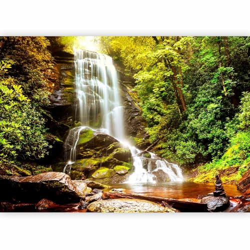 murando Fotomurales Cascada 400x280 cm Papel pintado tejido no tejido | Decoración de Pared decorativos Murales moderna de Diseno Fotográfico Naturaleza Paisaje Bosque Lago