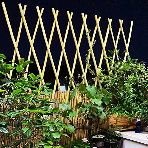 Treillis extensible en bambou pour plantes grimpantes - Couleur naturelle - Panneau de clôture en treillis - 30 x 180 cm - Séparateur de jardin et décoration murale avec rivets