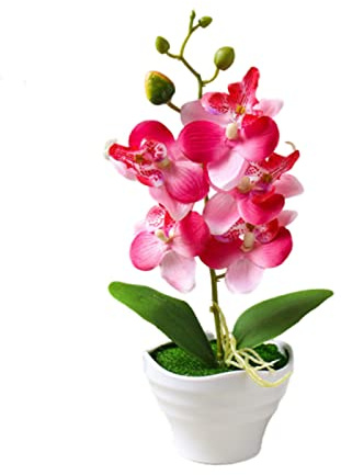 Generico 1 Piece Mini Orchidee Rosse Artificiali in Vaso Verde Simulazione di Orchidea Farfalla Finta Tavolo da Pranzo Decorazione Fiore 27 cm (rosso)