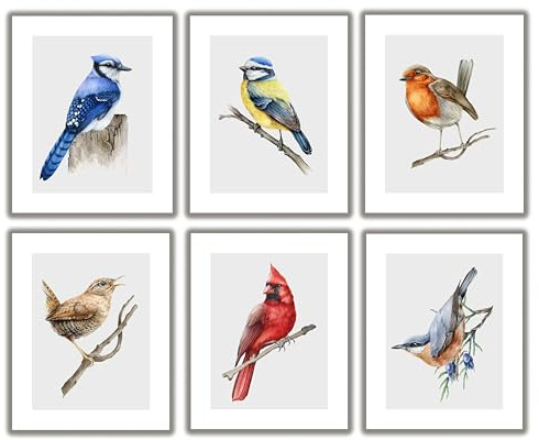 Backyard Birds Wall Art Prints. Set of 6-8x10 - UNFRAMED Watercolor Everyday Bird Decor Including Blue Jay, Blue Tit, Nuthatch, Red Cardinal, Wren & American Robin.