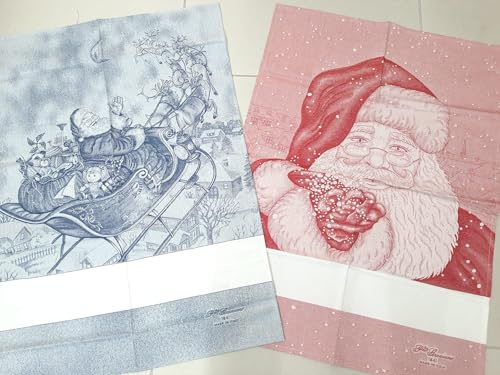 Generico Set 2 ASCIUGAPIATTI, CANOVACCI, Strofinacci Serie Slitta in Jacquard con Balza in Tela Aida da RICAMARE A Punto Croce, 60x85CM - Jolly MERCERIA