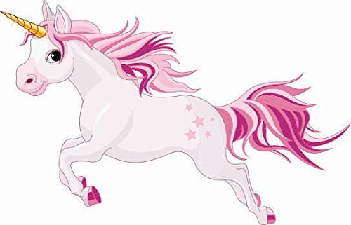 U24 Aufkleber Einhorn Motiv Nr. 1 Autoaufkleber Sticker