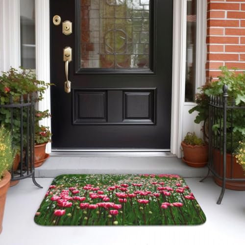 Fußmatte außen und innen,Tulpen- Landhausstil rutschfeste Schmutzfangmatte Türmatte, waschbar Fussmatte aussen für Haustür, Eingangsbereich, Garten,50 * 80cm
