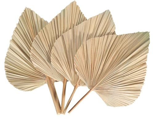 Rafstya 4Pcs Dried Palm Leaves Dried Palm Fans Dried Palm Spears Artificial Plants Palm Leaves Tropical Palm Leaves