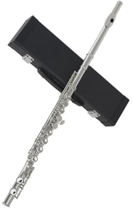 Flöte Querflöte Instrument C Tune 16 Löcher Geschlossenes offenes Loch Mit Box Reinigungstuch Stick Handschuhe