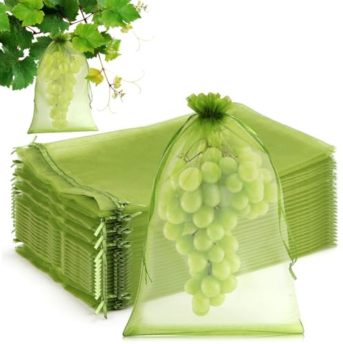 Jeinbuil 100 Stück Traubenschutzbeutel mit Zugband 20x30cm | Weintrauben Schutzbeutel Obst Schutzbeutel Garten Netzbeutel Schutz vor Kirschessigfliege Wespen and Vögeln