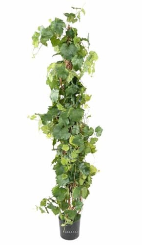 Artificielles.com - Cep de Vigne Artificiel en Pot H 140cm
