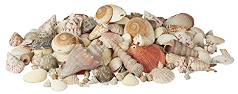 Relaxdays dekor snäckskal, blandning med stora havssniglar, kammusslor, strandhantverk, dekoration, maritim, 2 kg, färgglad