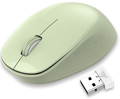 LeadsaiL Souris sans Fil 2,4 G silencieuse avec récepteur USB, Suivi Optique 1600 DPI, Souris 3 Boutons, pour droitiers et gauchers, Compatible avec PC, Mac, Ordinateur Portable, Windows - Vert