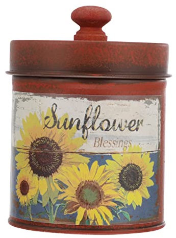 Vaguelly Elegant Iron Storage Box Props for Home Vintage Style Decorative Flower Pot