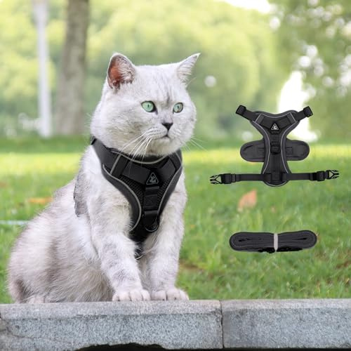 Verstellbares Katzengeschirr, atmungsaktiv, reflektierender Stoff, Spitze für Spaziergänge im Freien, Laufen, Schwarz, XL