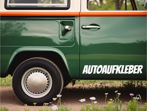 Autoaufkleber mit Wunschtext – Werbebeschriftung für Firmenfahrzeuge, wetterfest, personalisierbar in Farbe, Schrift & Größe - Länge zwischen 10-150cm