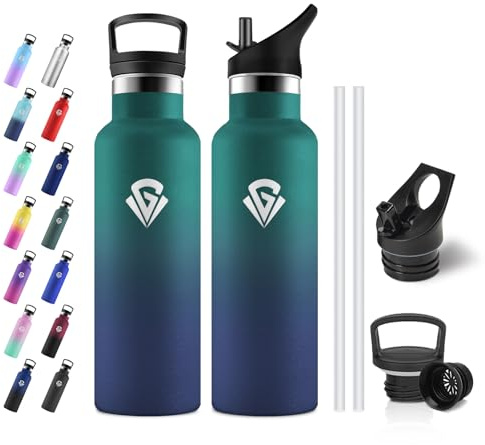 JAPORIA Gourde Isotherme 500ml, sans BPA, Bouteille Isotherme Double Paroi, Gourde Inox avec Paille pour l'école, Bureau, Extérieur, Camping
