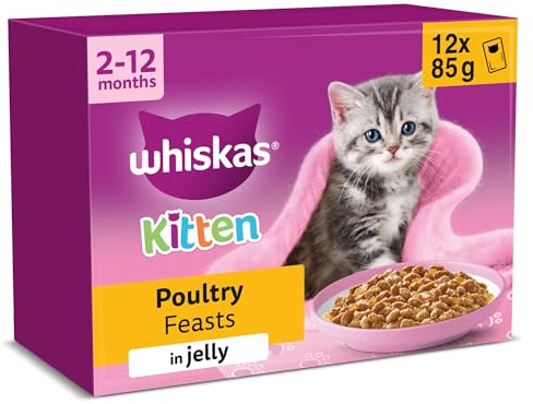 WHISKAS Junior Wet Cat Food in Jelly 12x85g Poultry Feasts (Pack of 4)