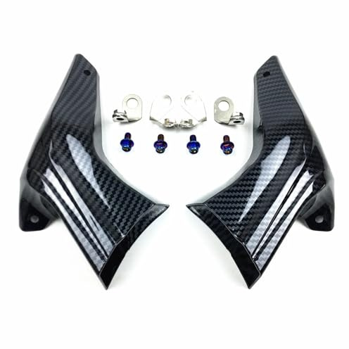 DGOINGPI Condotti Aria Raffreddamento Pinza Sistema di Raffreddamento ad Aria per Freni Moto Adatto per BMW S1000RR S1000XR R1250GS 1200R R1200RS Condotti in plastica ABS + Kit di Montaggio(Carbon)