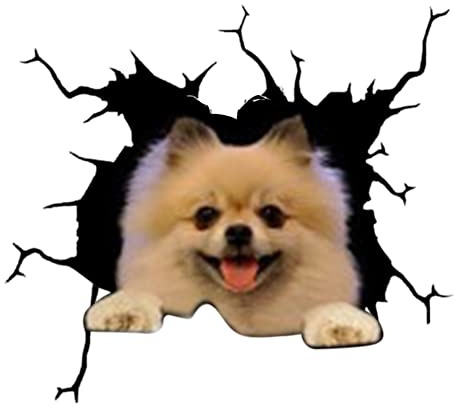 LICHENGTAI 4 Stück Hund Auto Aufkleber, Aufkleber Haustier Hund 3D Auto Aufkleber für Auto Personalisierte Dekoration Für Autofenster Stoßfänger Riss Vinyl Hund Aufkleber Geschenk