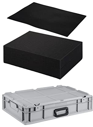 PROREGAL Eurobox NextGen Portable mit Rasterschaumstoff & Schaumstoffeinlage | HxBxT 13,5x40x60cm | 23 Liter | Eurobehälter, Transportbox, Transportbehälter, Stapelbehälter