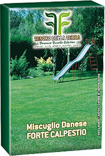 Seme Prato Festuca Arundinaceea Kg 5