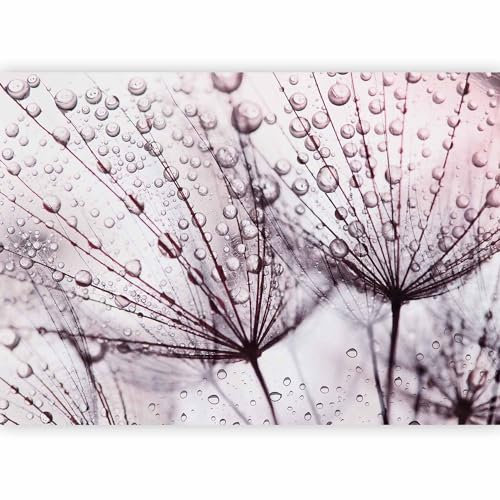 murando - Carta da parati Soffione 350x256 cm Fotomurali in TNT Murale alla moda Decorazione da Muro XXL Poster Gigante Design Carta per Pareti Soggiorno Natura Fiori Goccia d'acqua b-C-0664-a-a