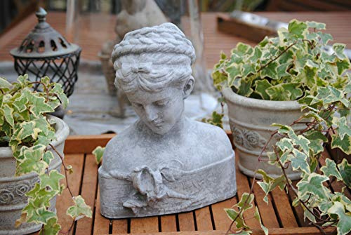 Schöne Dame Büste Frau Figur Skulptur Garten Deko Shabby-Style Steingrau aus Kunstharz Grau