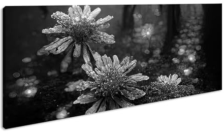 Fleurs magiques qui brillent mystérieusement dans la forêt sombre. Panorama 120 x 60 cm Effet : noir et blanc XXL Impression d'art sur cadre en bois Décoration murale pour salon