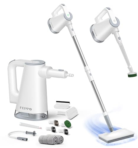 FEPPO Dampfreiniger 10-in-1 mit abnehmbarem Handdampfreinigerad