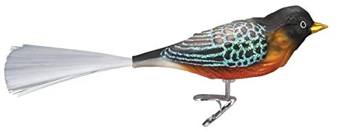 Old World Christmas 18088 Bird Watcher Collection Glass Blown Ornaments for Christmas Tree Robin, Multicolor