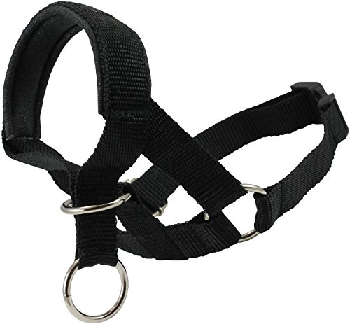 Dog Head Collar Halter Black (S 6.5inch8.25inch Snout)
