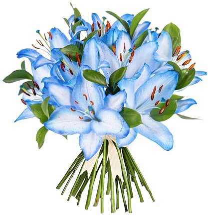 Ocean Lilies - Medium Size - Fresh Flower Bouquet | Birthdays, Anniversaries, Thank You Gifts, Thinking of You, Delivered in Bud and Blooms in 48-72 Hours