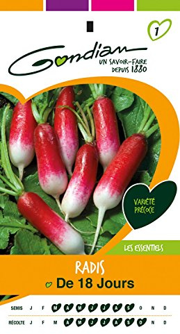 Gondian 154030 CP 1 Semences Radis de 18 Jours Rouge 1 x 8,1 x 16 cm