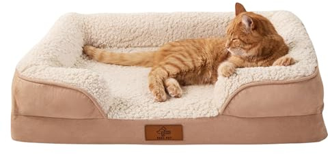 VEEL PET Cama Ortopédica desmaontable para Gatos (Medium)