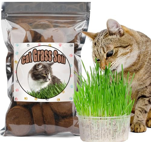 GOTVUGE Bio Blumenerde für Indoor-Katzengras Katzengraserde (10pcs)