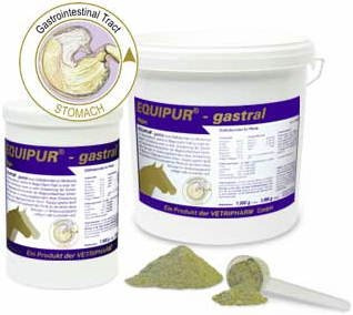 Equipur 200000008