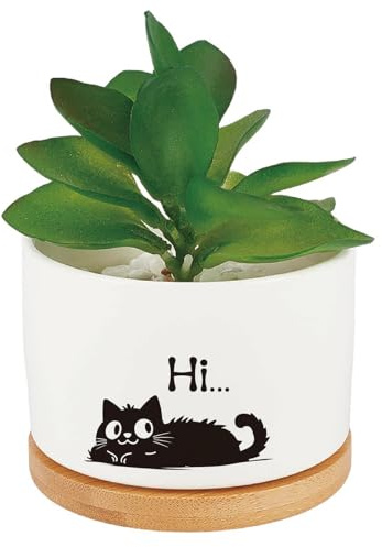 CRASPIRE Macetas Cerámica Blanca Forma Gato negrura Bonitas Macetas Suculentas Cactus Flores Porcelana Bandeja Madera Orificio Drenaje Decoración Hogar Oficina Amantes las Plantas Amigos (Sin Plantas)