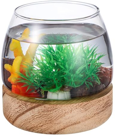 BAZEITFLOW Ciotola in Vetro Rotonda per Pesci e Piante Acquario Terrario Trasparente per Centrotavola Vaso Multifunzionale per Pesci Rossi e Piante Grasse Design Robusto e Sicuro per Casa e