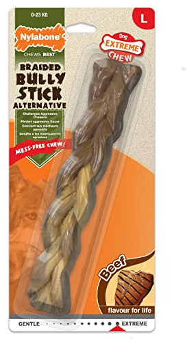 Nylabone 985066EU Hundeknochen zur Zahnpflege für energisch kauende Hunde, Ochsenziemer-Kauspielzeug mit Flechtmuster, Rindfleischgeschmack, Große - für Hunde bis 23 kg