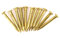 Copper Nails Round Head + Panel Pins 100Pcs + Furniture Hardware Accessories + 10mm/15mm/18mm/22mm for Carpenters, Woodworkers, and DIY Enthusiasts (15mm Long)