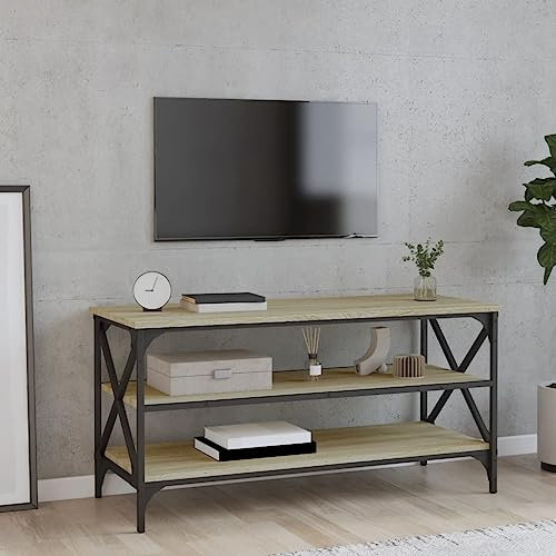 RAUGAJ Home & Garden TV-Schrank, Sonoma Eiche, 100 x 40 x 50 cm, Holzwerkstoff