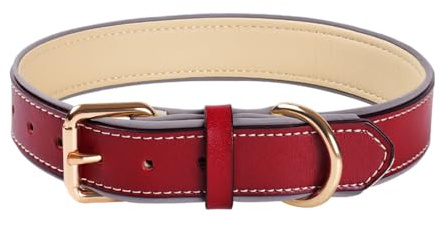 Rotes Leder-Hundehalsband - Echtes weiches gepolstertes reflektierendes Halsband mit Goldener Schnalle für kleine, mittlere und große Rassen