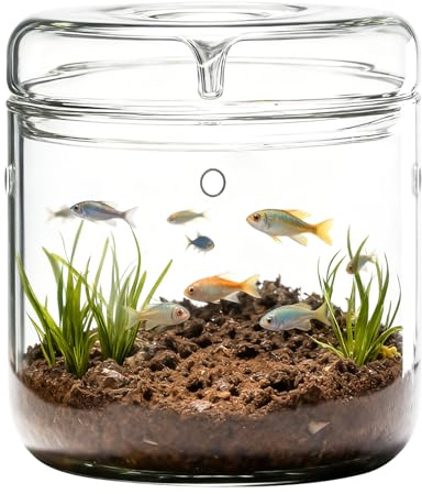 Kleines Glas-Pflanzenterrarium 12x17,5 cm mit Deckel – Flaschengarten Komplettset für Sukkulenten & Luftpflanzen, Farnmoos Micro-Landschaft Vase, Terrarium für Büro, Arbeitszimmer, Innenbereich
