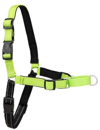 PetSafe Easy Walk Deluxe Dog Harness, No Pull Dog Harness Perfect for Leash & Harness Training Stops Pets from Pulling and Choking on Walks Medium/Large, Apple