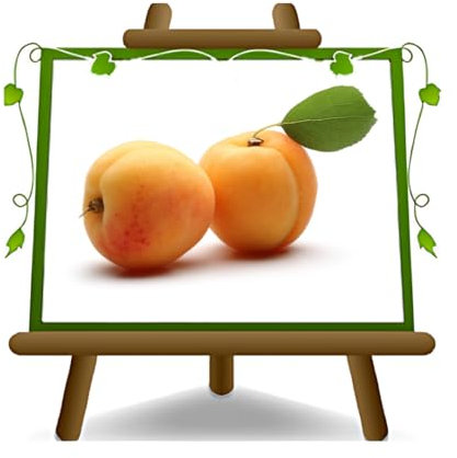 EURO PLANTS VIVAI Albicocco di Monteporzio su Vaso da 20 Pianta da Frutto Autofertile *Altezza: 150~170 cm.-2 Anni