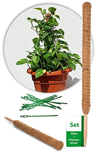 Novatool 2X Pflanzstab Kokos 110 cm und 100x Pflanzenbinder I Kokosrankstab verlängerbar I natürlicher Kokosfaser Pflanzenhalter Rankstab I Pflanzenklammer grün I Moosstab Kokosstab Pflanzstab
